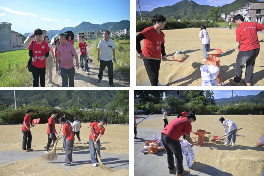 裸聊直播
：深入走访调研 青春力量助力乡村振兴_fororder_图片7