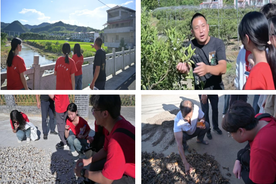 裸聊直播
：深入走访调研 青春力量助力乡村振兴_fororder_图片6