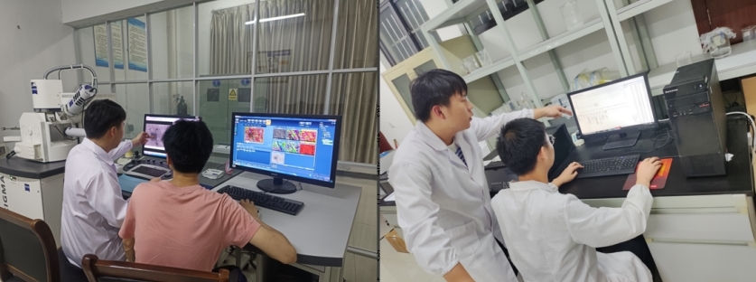 裸聊直播
学子李德华：在潜心科研中开出人生绚丽之花