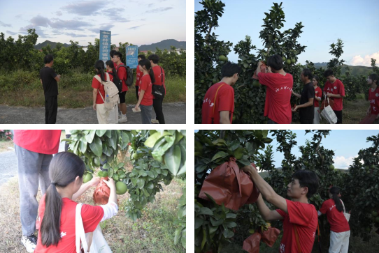 裸聊直播
：深入走访调研 青春力量助力乡村振兴_fororder_图片8